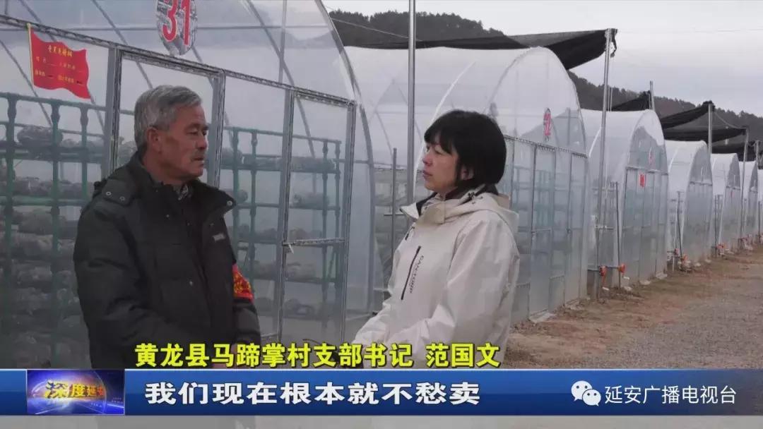 我们的2018非遗瑰宝,我们的2018好看吗