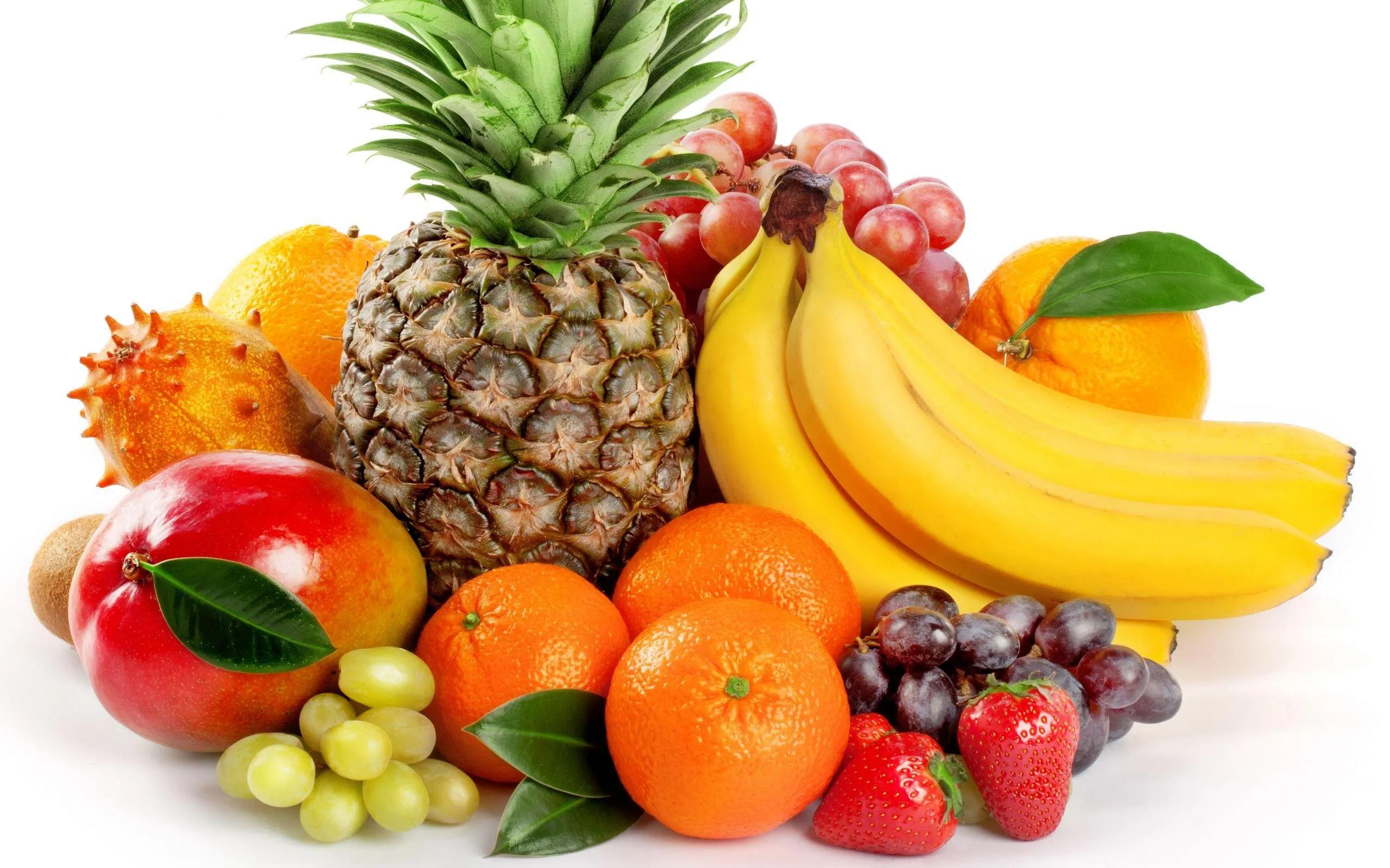 长寿的秘诀少管闲事,长寿的秘诀大爷原视频