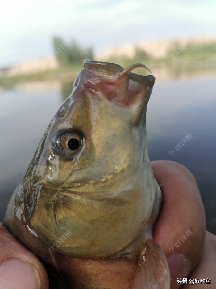 阿克苏毕业季,再见新疆阿克苏原版