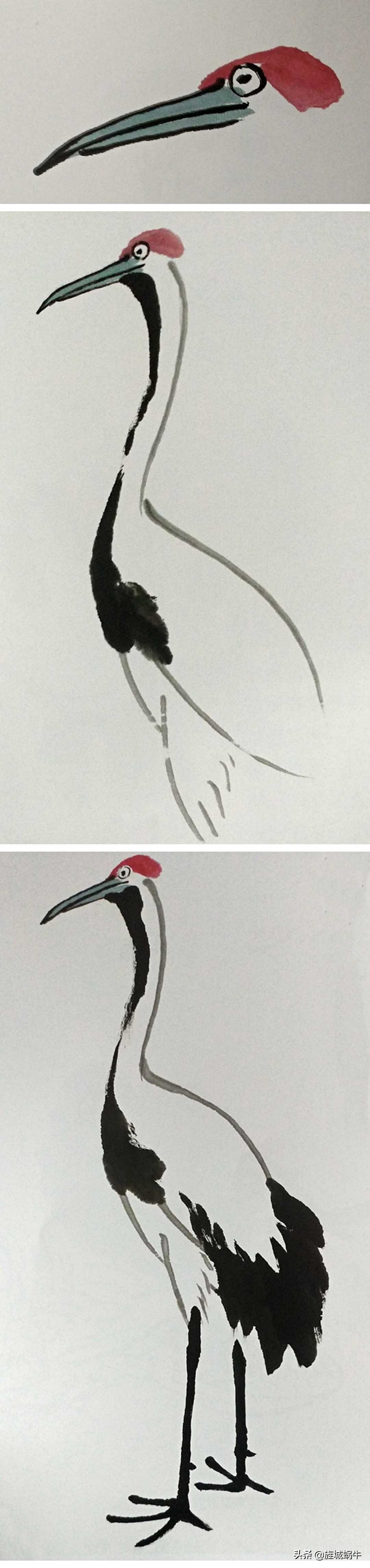 一学就会的禽鸟画法书,禽鸟的画法大全图解