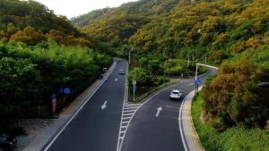 厦门属于福建的副省级城市,厦门市位于什么省级特别行政区