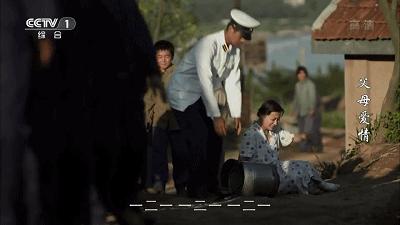 父母爱情为何拿奖,父母爱情总共获得几回奖