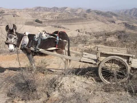 三十年前的生活是什么样子,二十年前的生活是什么样子的