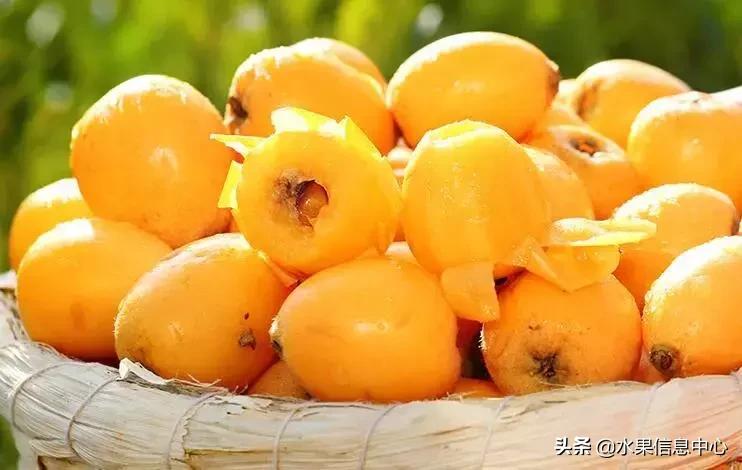 中国水果大全,中国水果大全图片和名字