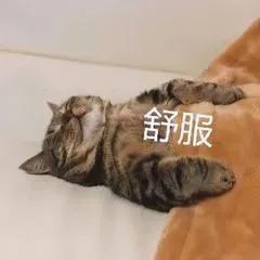 懒癌必备超好用睡眠面膜盘点,重度懒癌