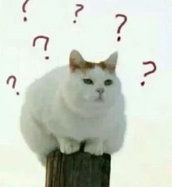 这地方一张罚单78万!豪车开出租家用车是“破烂”,咋回事?