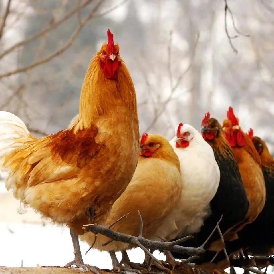 待疫情过后我们一起去南昌,疫情期间建议坐高铁出行