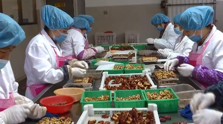 高端媒体看邯郸,保定电视台节目回看