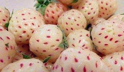 十大土豪水果排名,这些水果吃过5种以上的是土豪