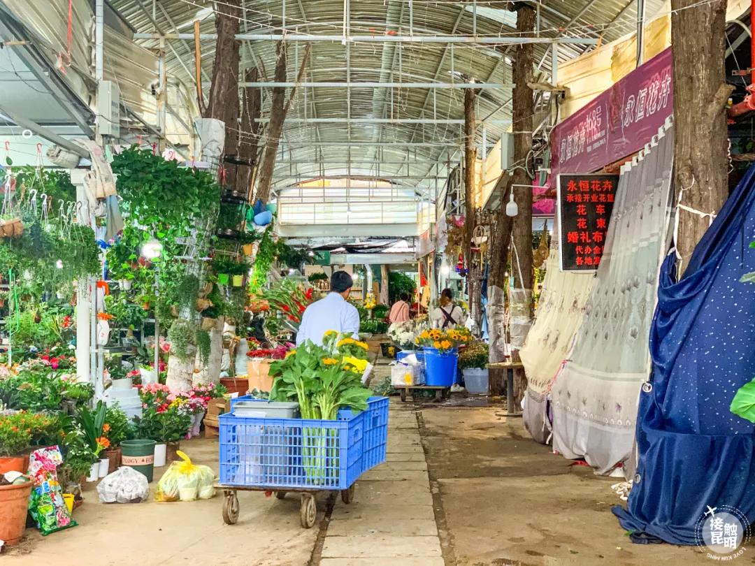 昆明鲜花进货渠道,昆明尚义花市