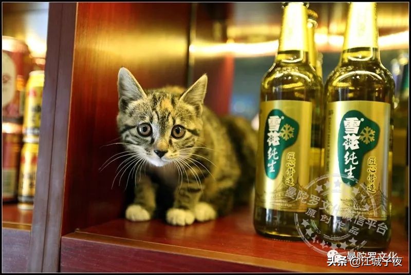 吉林市属于北国江城吗,北国江城吉林市视频