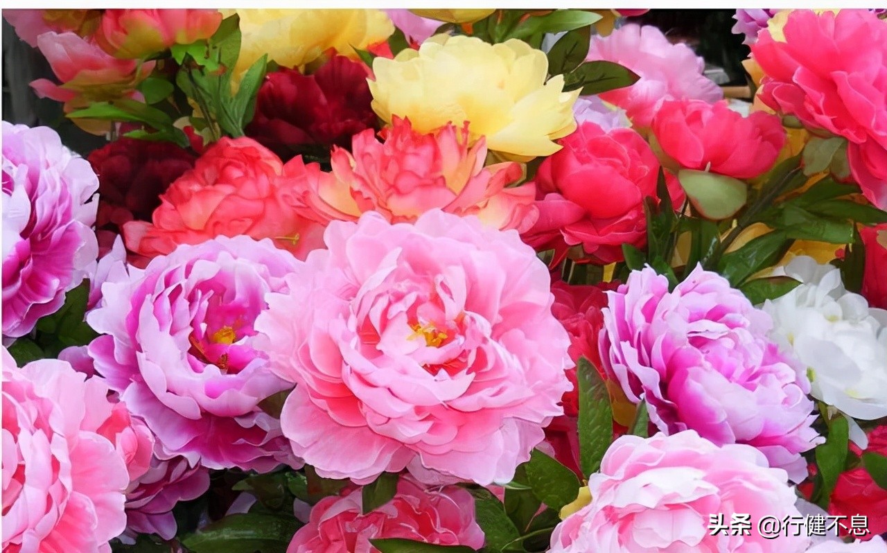 一代诗豪刘禹锡最经典的20首诗词,刘禹锡最好的三首诗