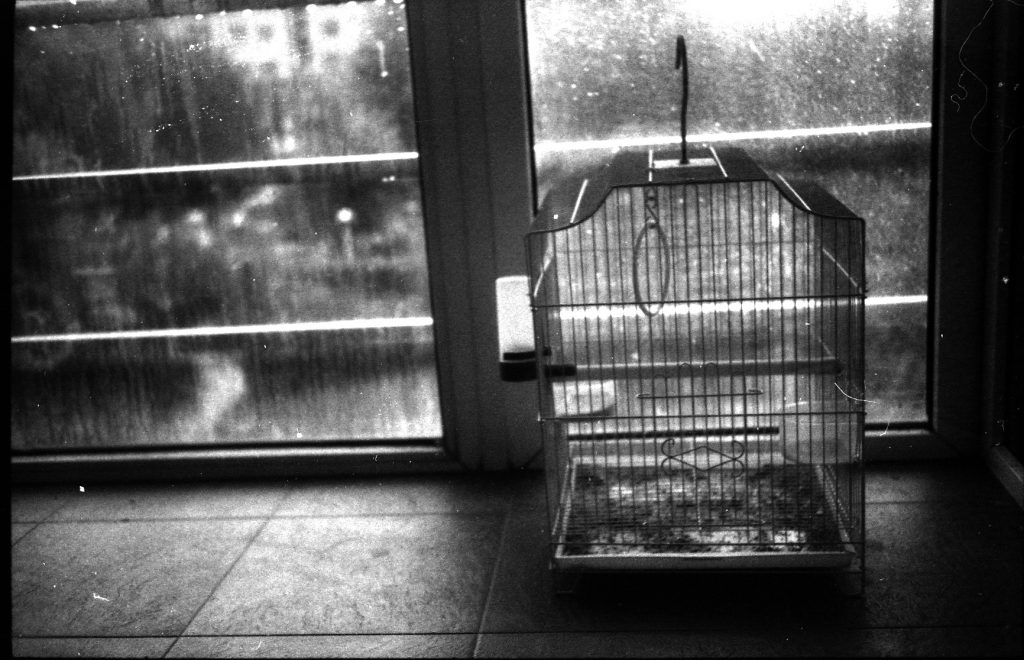 禄来35b使用说明,禄来35s铜顶