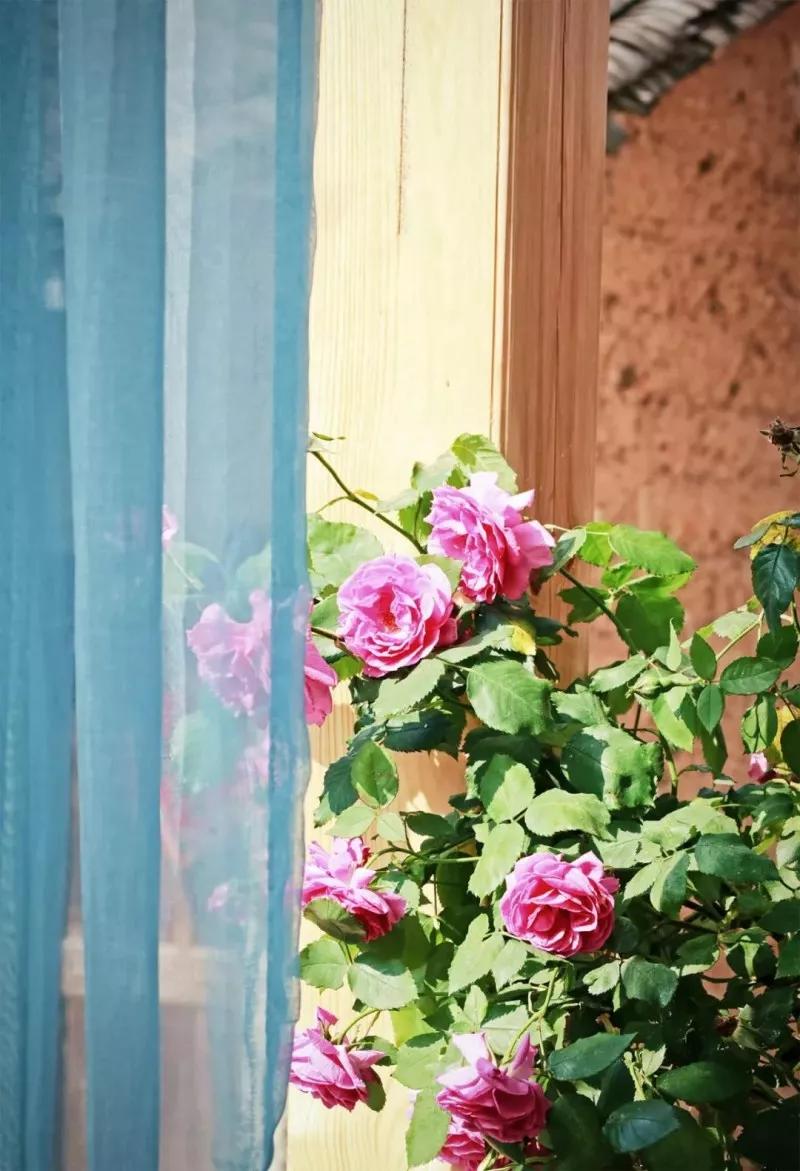 閲戝崕鍙ゆ潙鍙ら晣姘戝,閲戝崕鍙ゆ潙娓哥帺