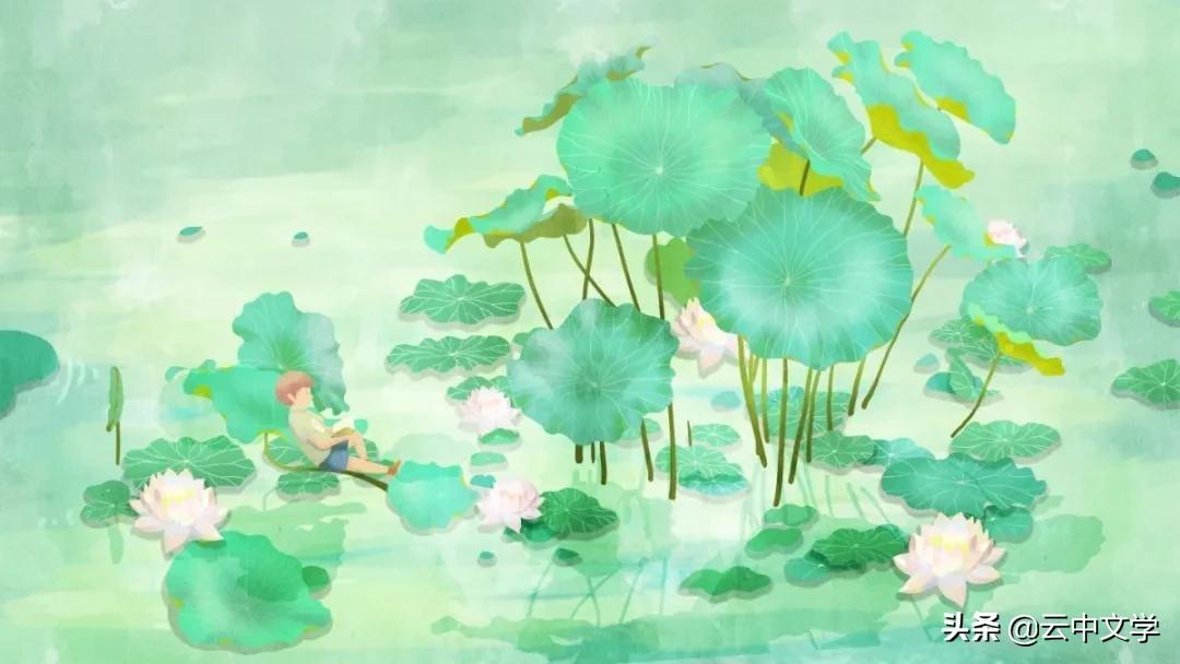 关于夏天的作文500字左右六年级,描写夏天的好词好句好段三年级