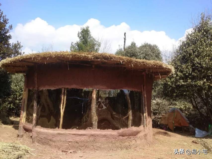 阿土｜荒野生活/从城市白领到山中野人