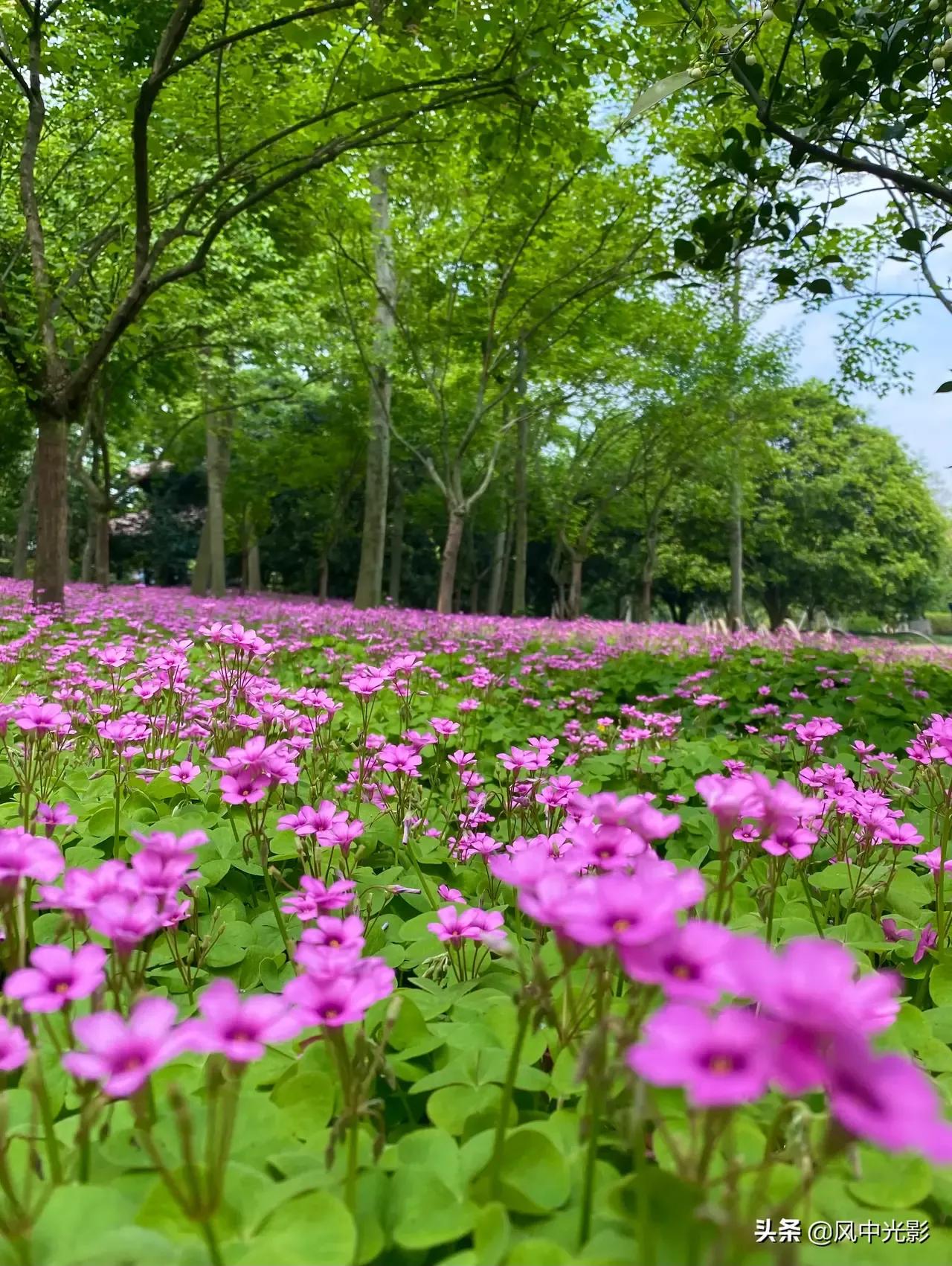 到底杭州好在哪里？