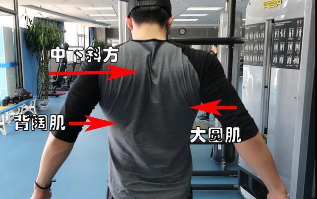 不练背先练动作,练背部的健身训练动作