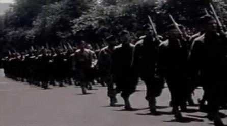 美国从来不阅兵,美国有没有过阅兵