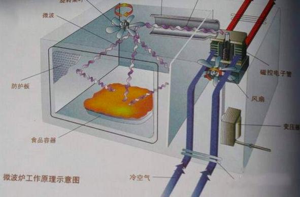 两颗葡萄微波炉加热是真的吗,葡萄为什么会在微波炉中爆炸