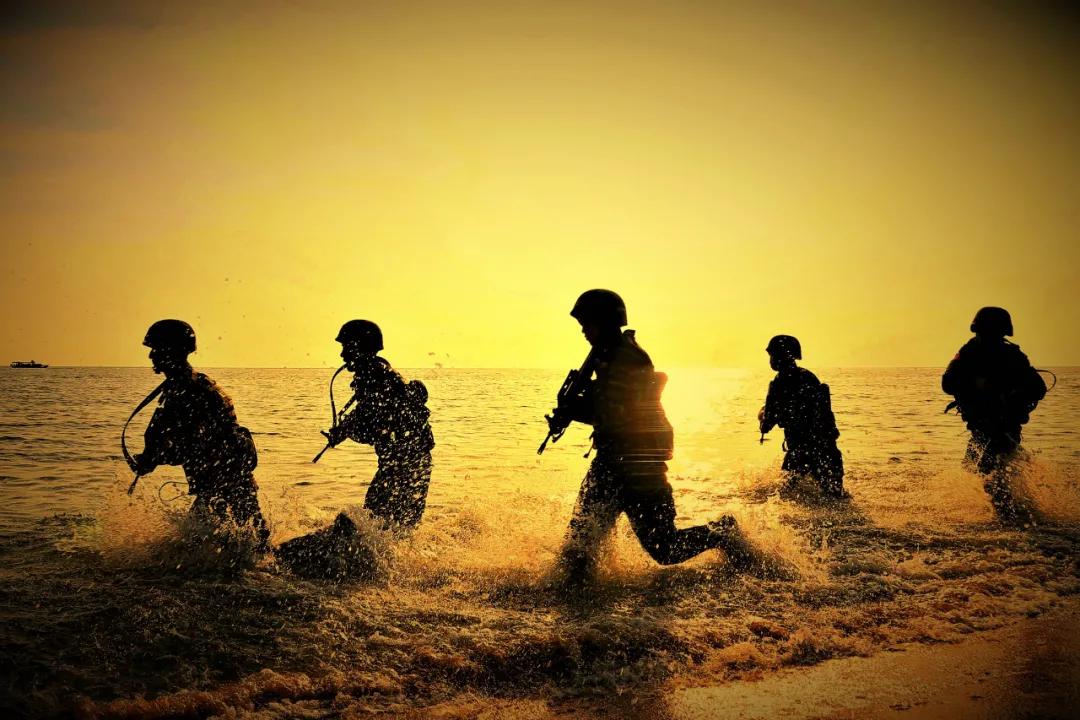 军官职业化最新详细政策,军官职业化详细说明