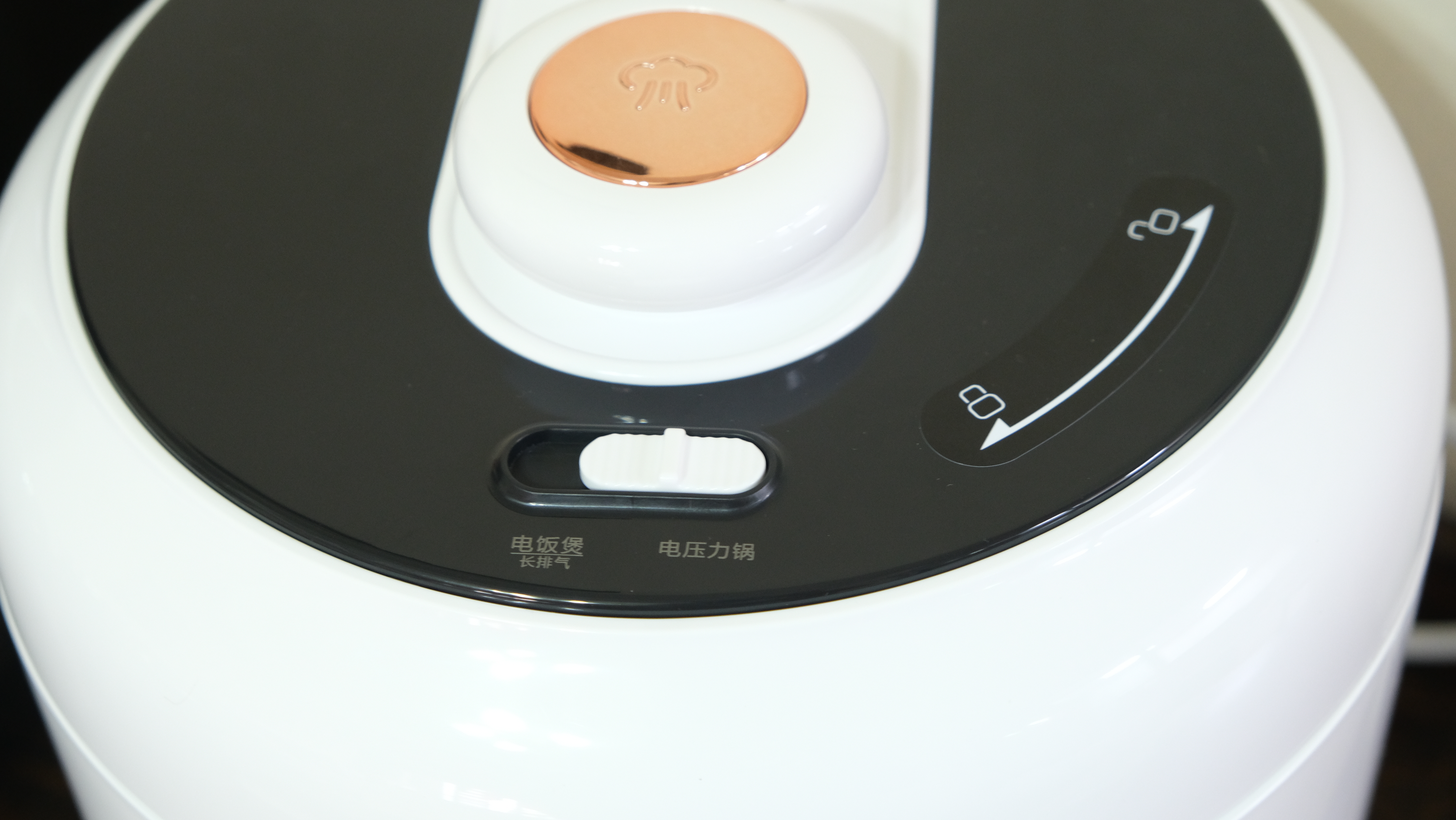 电饭煲可以替代电压力锅,高压锅可以完全取代电饭煲吗