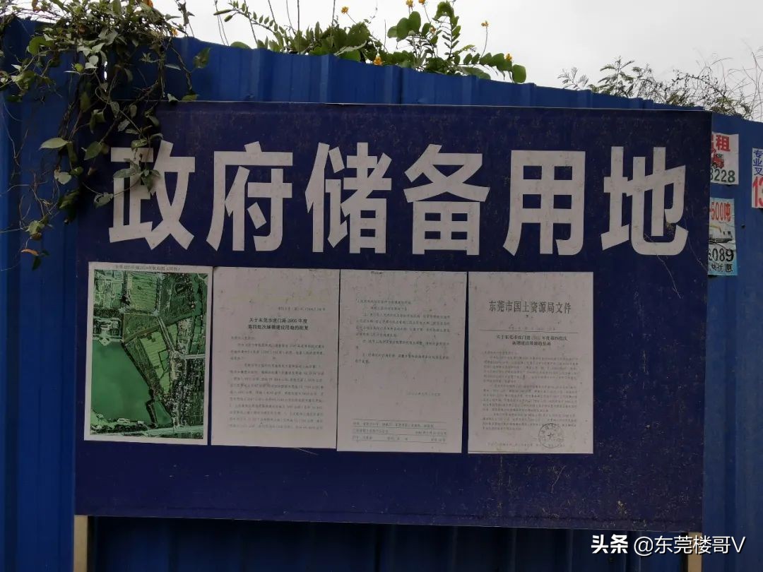 楼哥踩盘深业松湖云城,楼哥踩盘