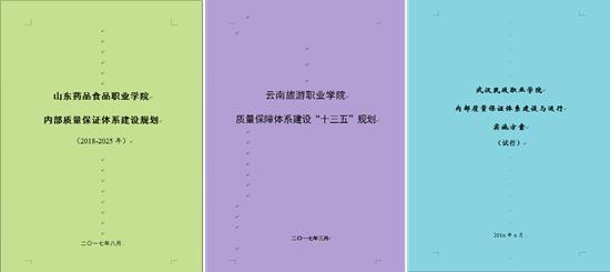 职校诊改系统,职业学校教学诊断与改进