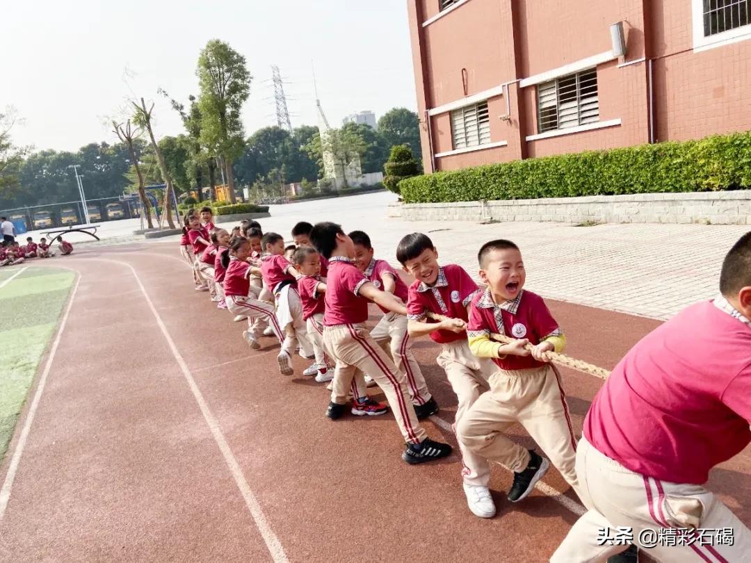 石碣四海学校排名,石碣四海小学招生简章