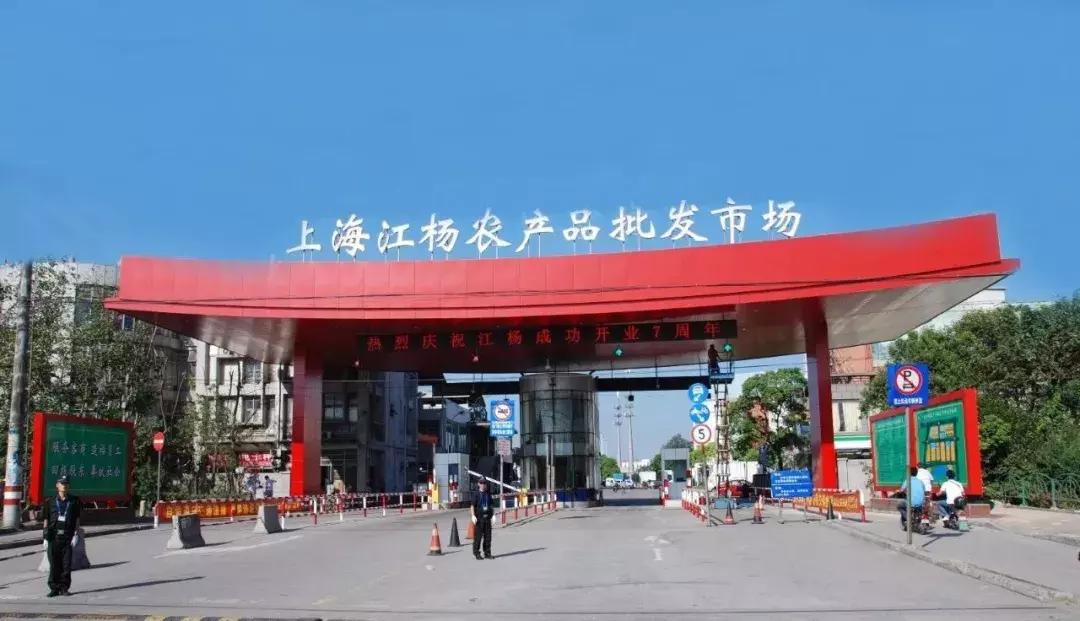 中国蔬菜批发市场大全,邓州菜农蔬菜批发市场在哪里