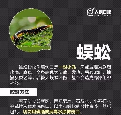 虫子叮咬引发疾病,虫子叮咬会得什么病