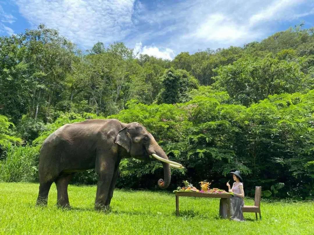 浜戝崡鏅椽榛庢槑涔嬪煄鍥剧墖,鏅椽榛庢槑涔嬪煄鍘嗗彶