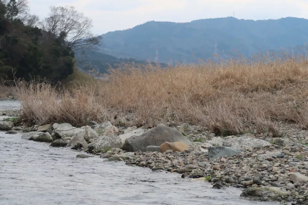 一月份游岚山,岚山哪个地方好玩一日游