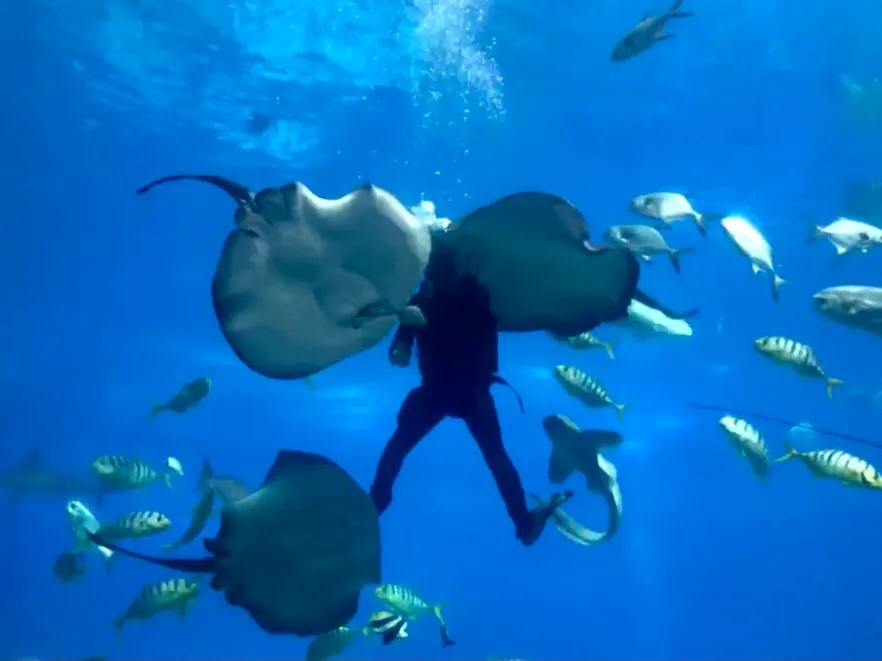 珠海长隆游玩攻略和时间,一月珠海长隆游玩攻略三天两晚