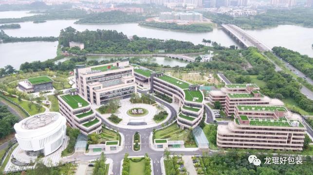 软包装印刷行业10亿的销售额,纸业巨头排行