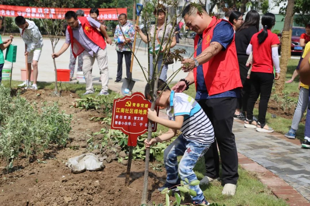 江阴申港街道规划,江苏江阴美丽乡村建设