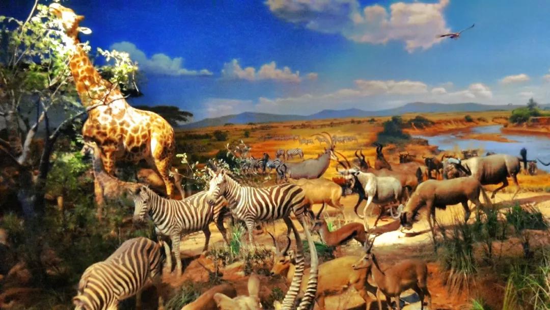 国庆亲子游推荐重庆主城,小众重庆避暑亲子游推荐