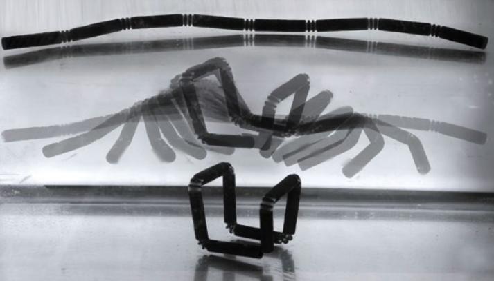 每日一问40问,每日一问第8集