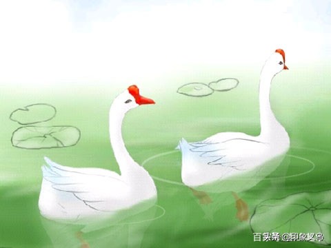 唐代著名《咏鹅》诗义乌人竟然歪解成了反腐诗不禁拍案叫绝