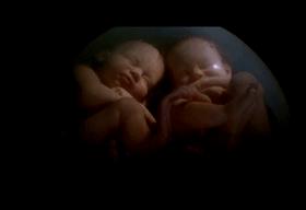 口碑炸裂宝藏纪录片推荐,宇宙生命探索纪录片