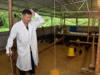 三德子娶名模娇妻,三德子娶的媳妇去哪了