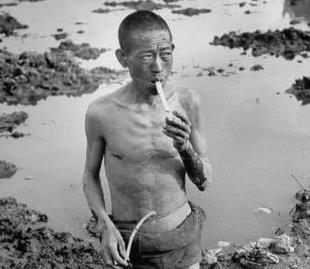 1942河南惨痛的历史悲剧,1942年河南亲历者