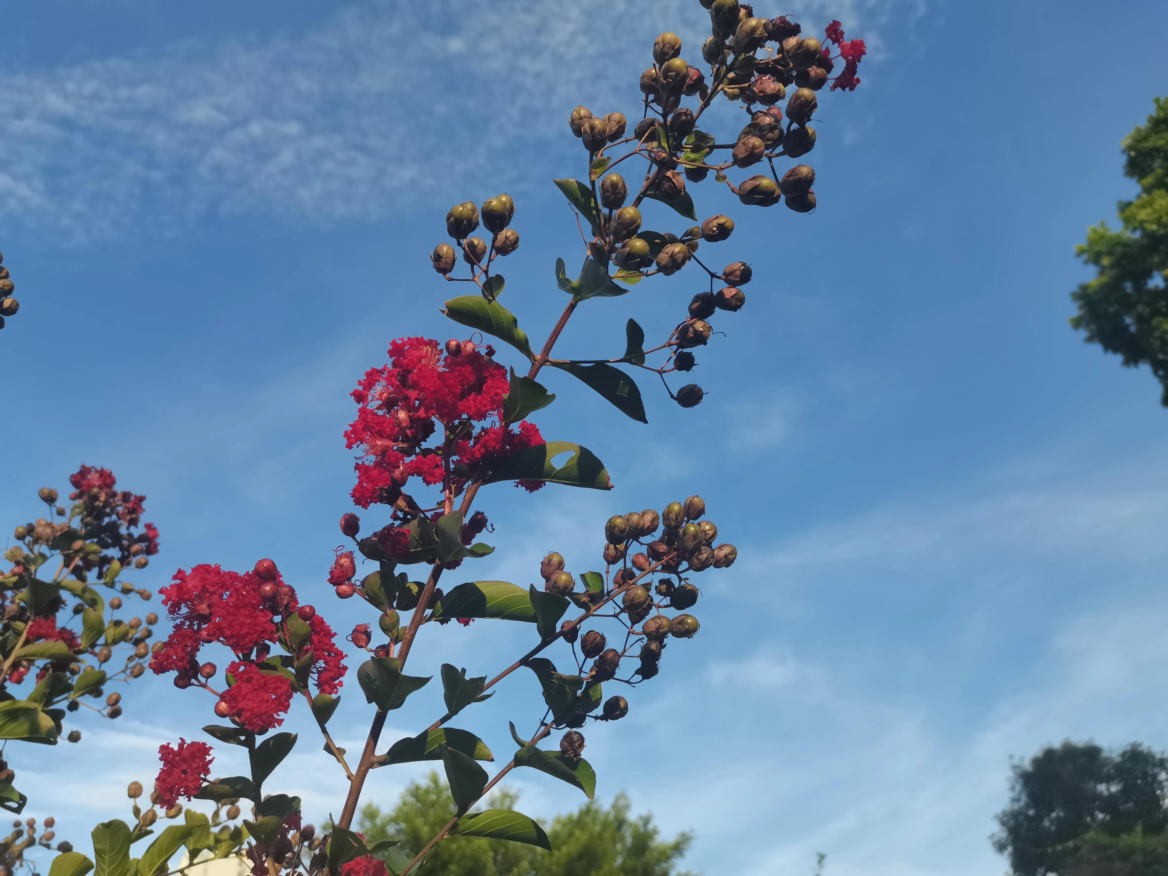 做自媒体最重要的是坚持,你们做自媒体的初心