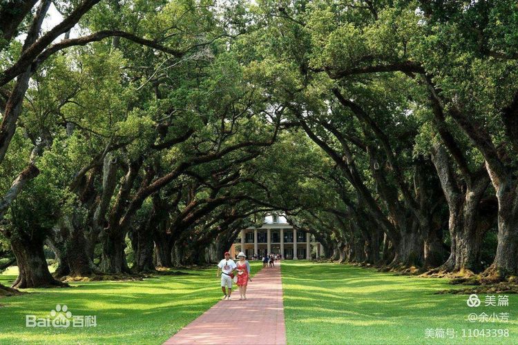上海中山公园介绍,上海中山公园