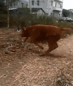 开心图文高清图片,开心图文原创