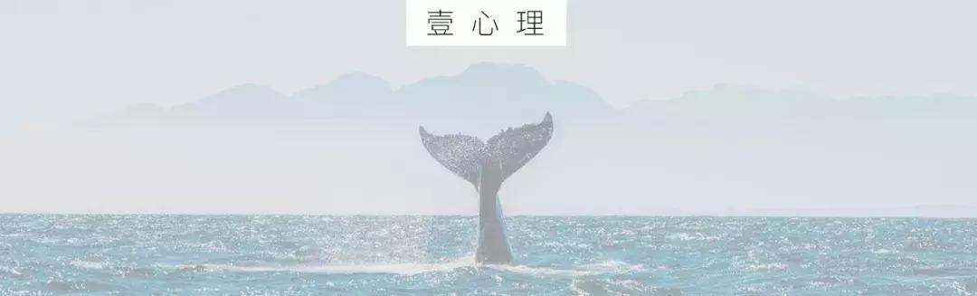 00后纪录片火爆央视,00后纪录片第二集是什么