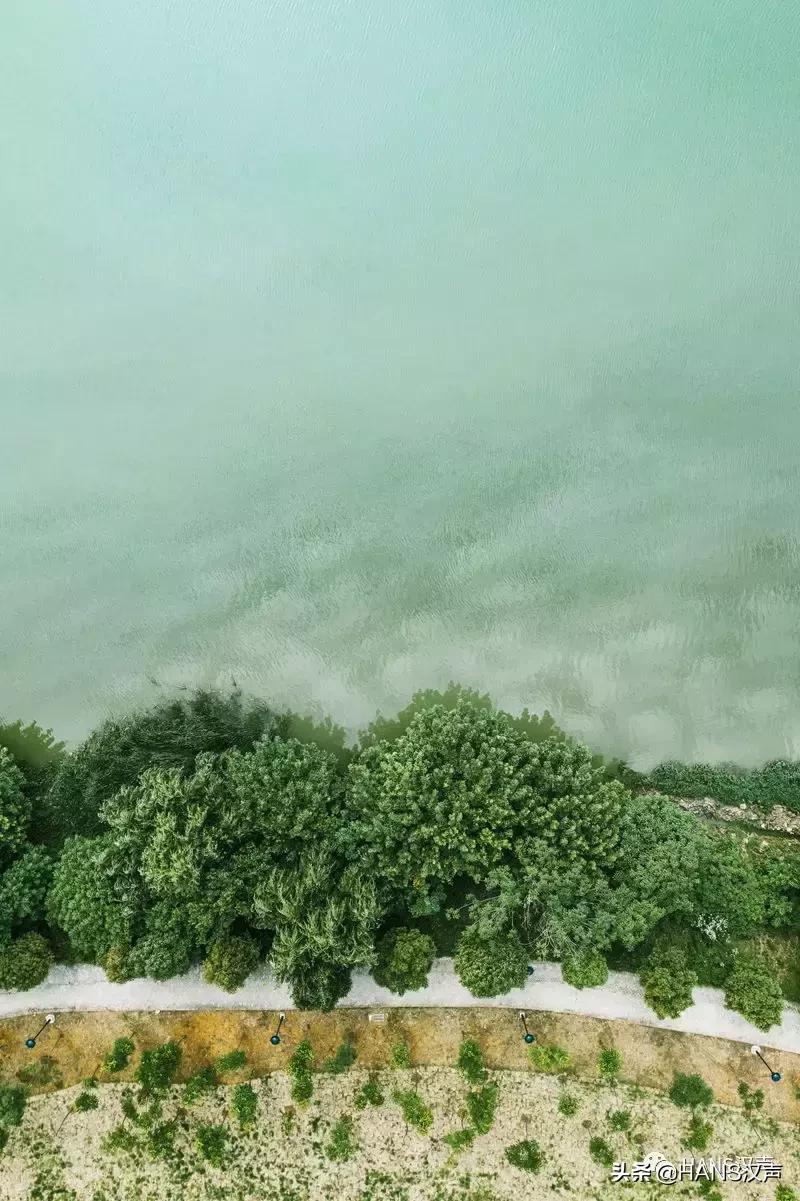 汉口夏天,汉口夏日