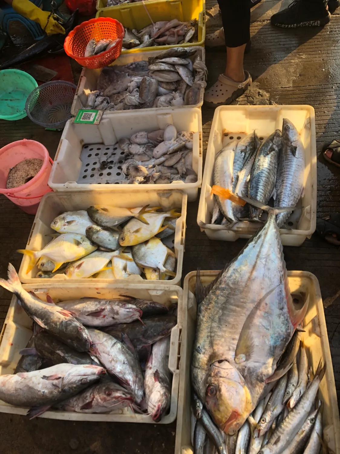 企沙海港小镇,企沙网红小镇叫什么