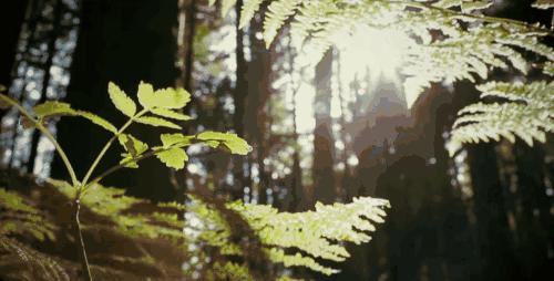 脖子疼枕高枕头舒服一点,打鼾者最舒服的枕头