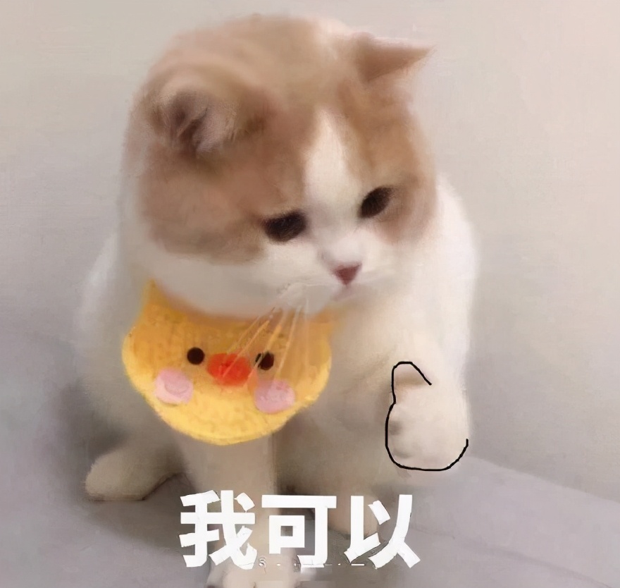 美国宠食真相网站2021认可猫狗粮榜单出炉,6款大陆有售